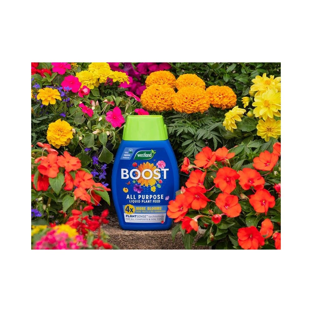 Westland Boost All Purpose Liquid Plant Feed 1 litre