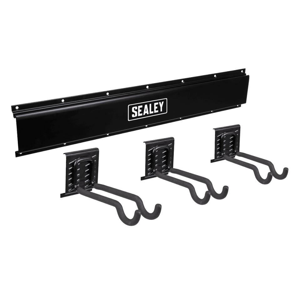 Wall Mounting Storage Rail with Sports Equipment Hooks : Model No- APHKIT11