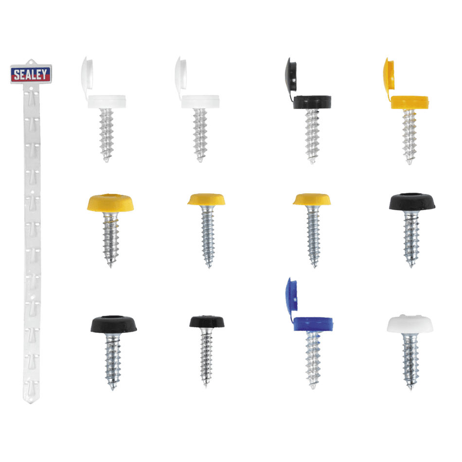 Clip Strip Deal - Mixed Numberplate Screws : Model No- NPSSET