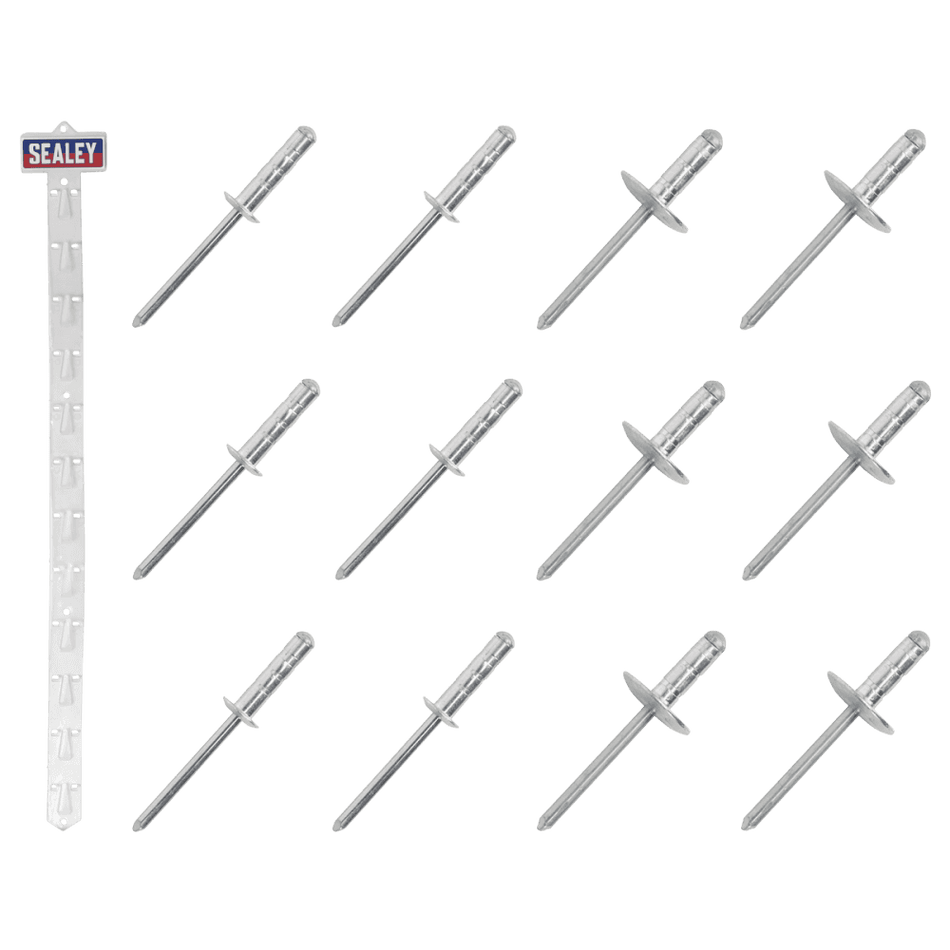 Clip Strip Deal - Aluminium Rivets Model No- RVSET
