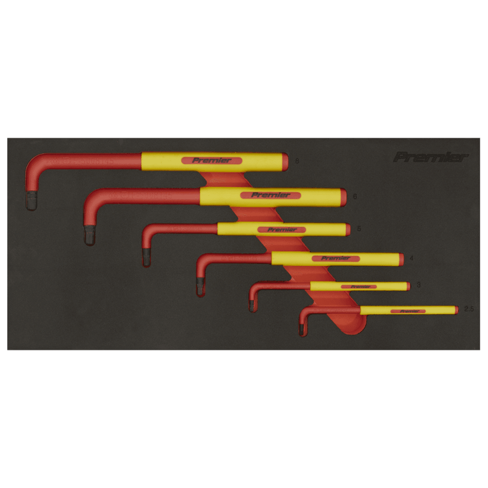 Premier Insulated Hex Key Set with Tool Tray 6pc - VDE Approved Model No- TBTE05