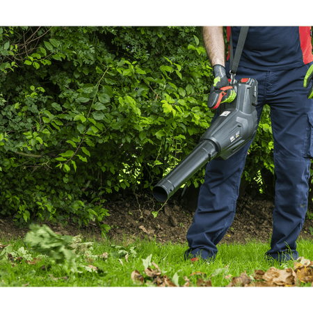 SV20 Series Cordless Blower 40V - Body Only Model No- CP40VB