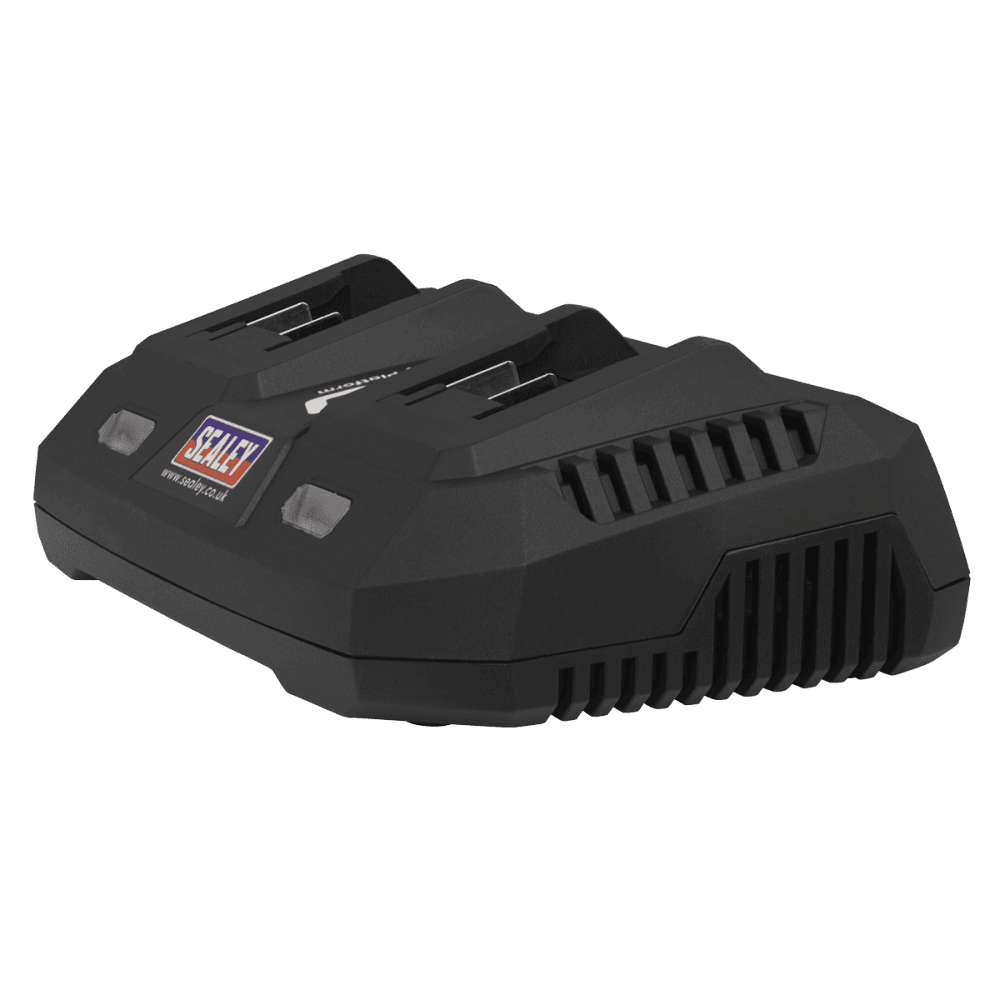 Chainsaw Kit 40V 4Ah SV20 Series 35cm Model No- CP40VCSKIT