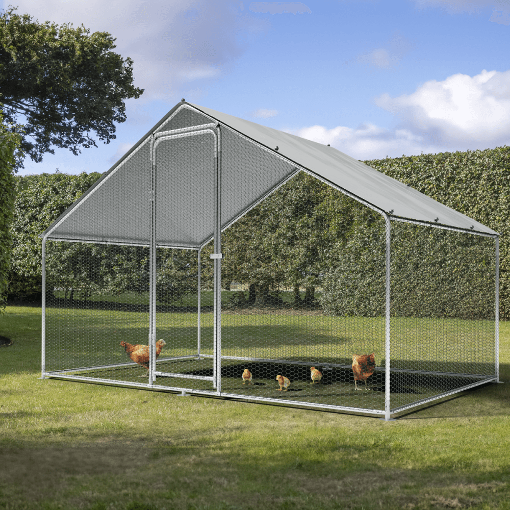 Dellonda Walk-In Galvanized Steel Chicken Run with Roof Cover & PVC Coated Chicken Wire Model No- DG278