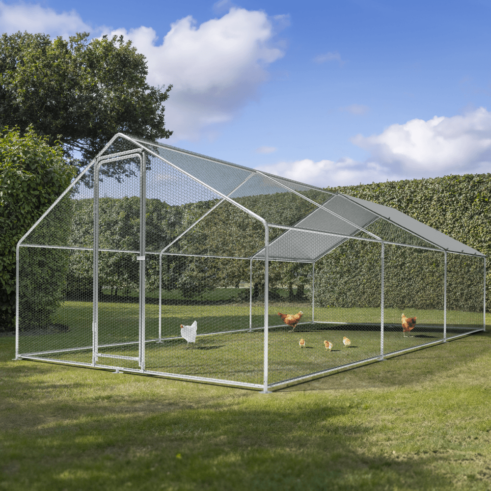 Dellonda Walk-In Galvanized Steel Chicken Run with Roof Cover & PVC Coated Chicken Wire Model No- DG280
