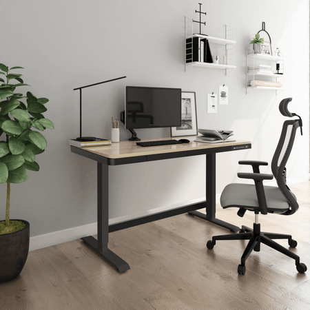 Dellonda Single Motor Ultra-Quiet Electric Desk with Control Panel, USB Port & Drawer - Oak Desktop Model No- DH65