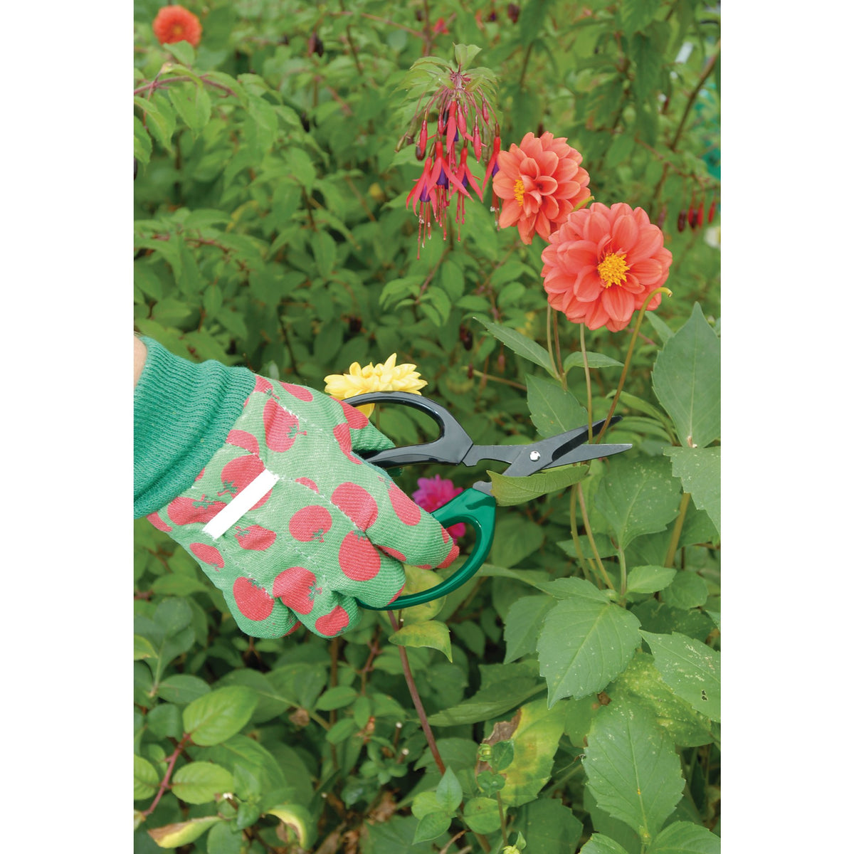 DRAPER 2 Piece Soft Grip Garden Scissor Set: Model No.GS/TP2