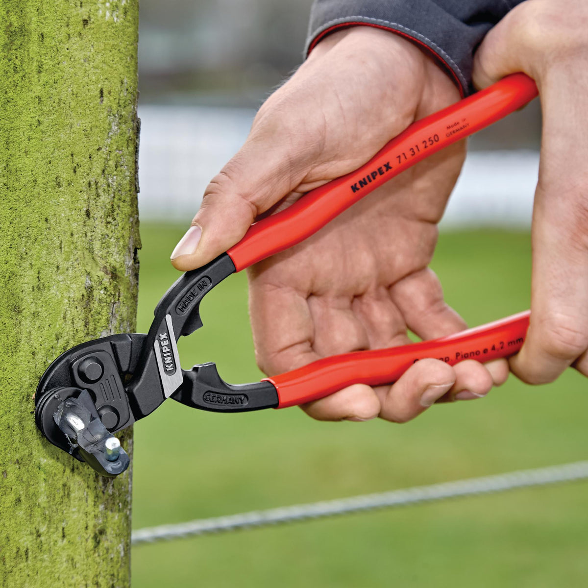 KNIPEX 71 31 250 SB CoBolt® XL Compact Bolt Cutter, 250mm