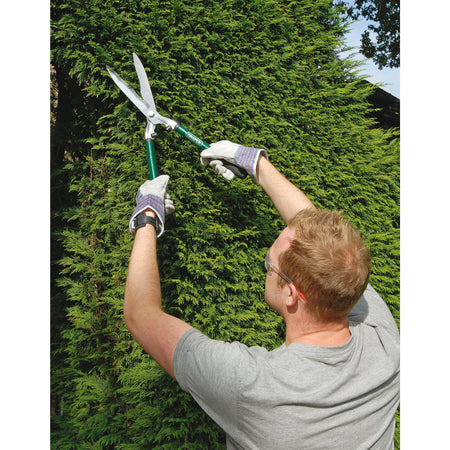 DRAPER 3 piece Lopper, Shears and Secateur Set: Model No.GLSS/SET