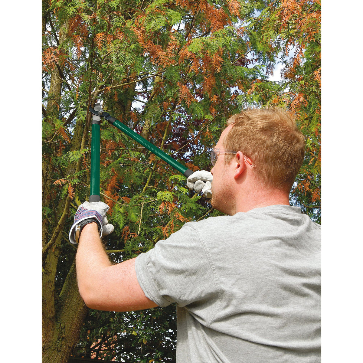 DRAPER 3 piece Lopper, Shears and Secateur Set: Model No.GLSS/SET