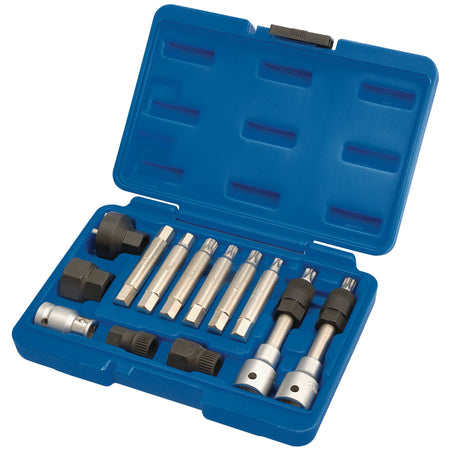 DRAPER Expert 13 piece Alternator Pulley Tool Kit: Model No.AFWPS13