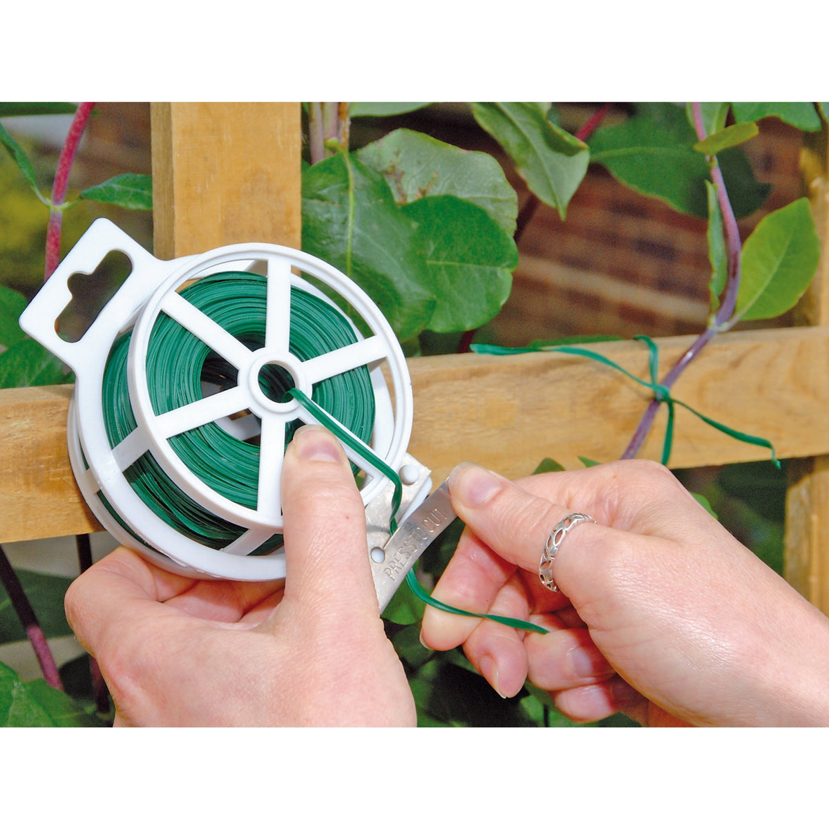 DRAPER 50M Garden Tying Wire: Model No.TT50CN