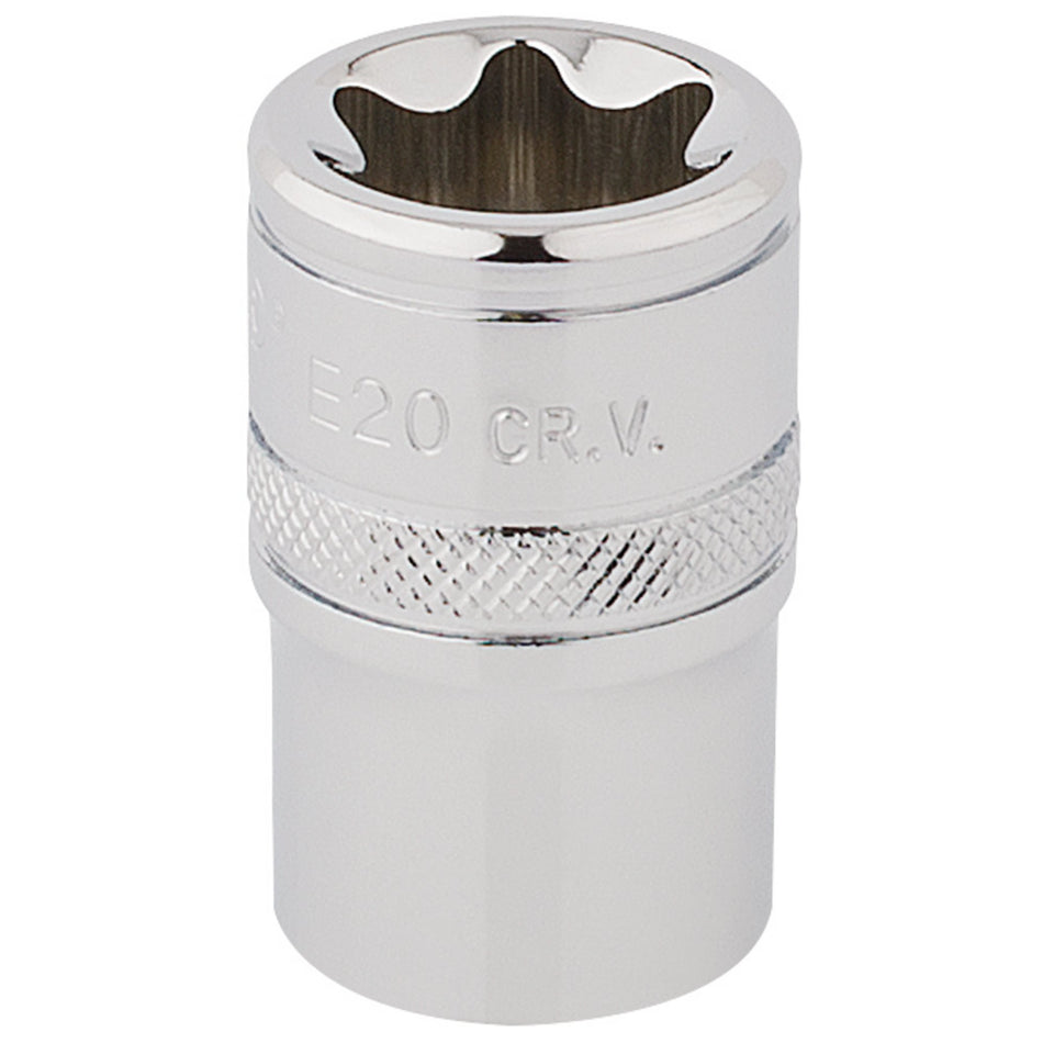 DRAPER 1/2" Square Drive Draper TX-STAR Socket (E20): Model No. TS12/B