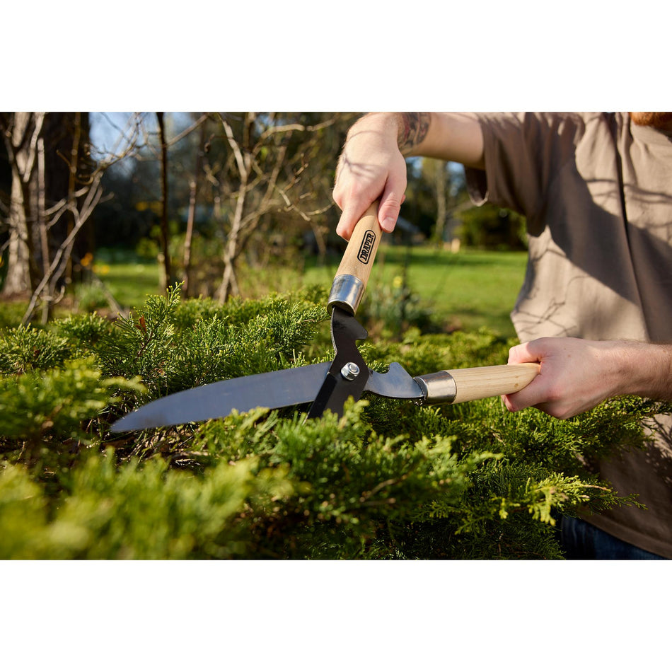 DRAPER 230mm Straight Edge Garden Shears with Ash Handles: Model No.GHS406SG