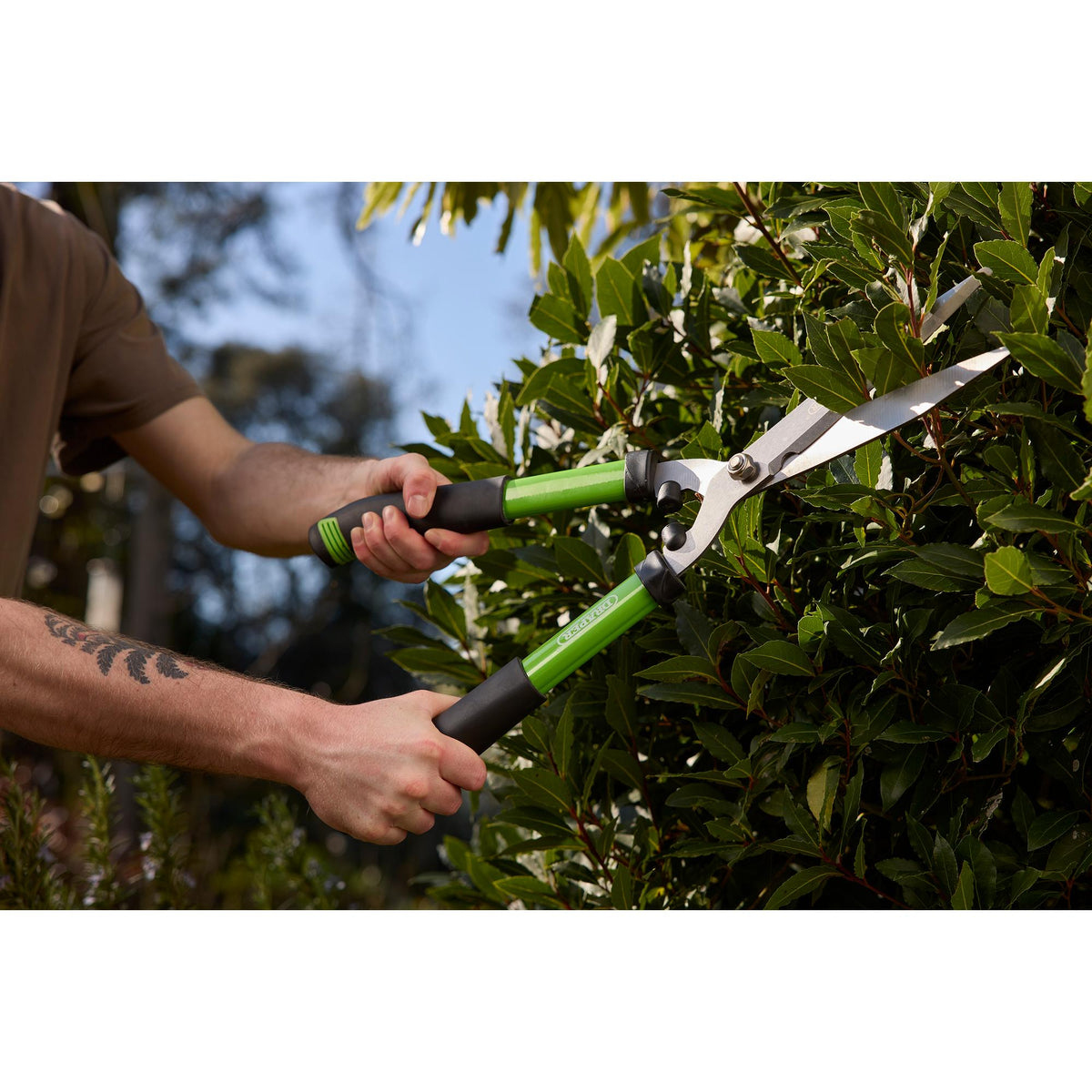 DRAPER 230mm Soft Grip Straight Edge Garden Shears: Model No.GHSDD