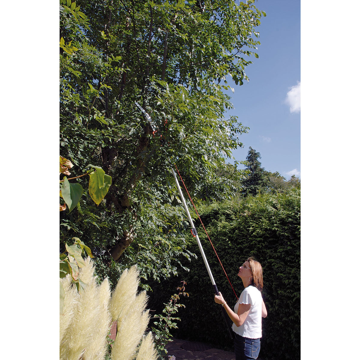 DRAPER Expert Tree Pruner with Telescopic Handle - Cutting Capacity 32mm Dia.: Model No.G1200/EXP
