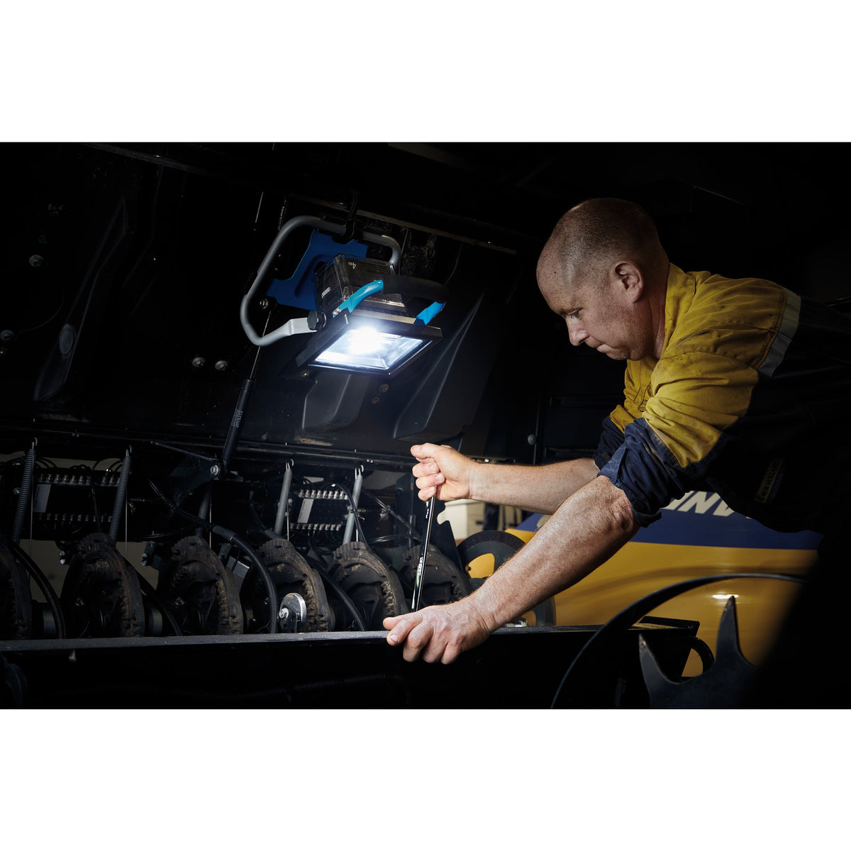 D20 LED Lamp - Bare: Model No.D20LEDWL