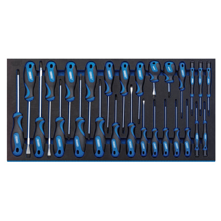 DRAPER Screwdriver Set in Full Drawer EVA Insert Tray (27 Piece): Model No. IT-EVA17