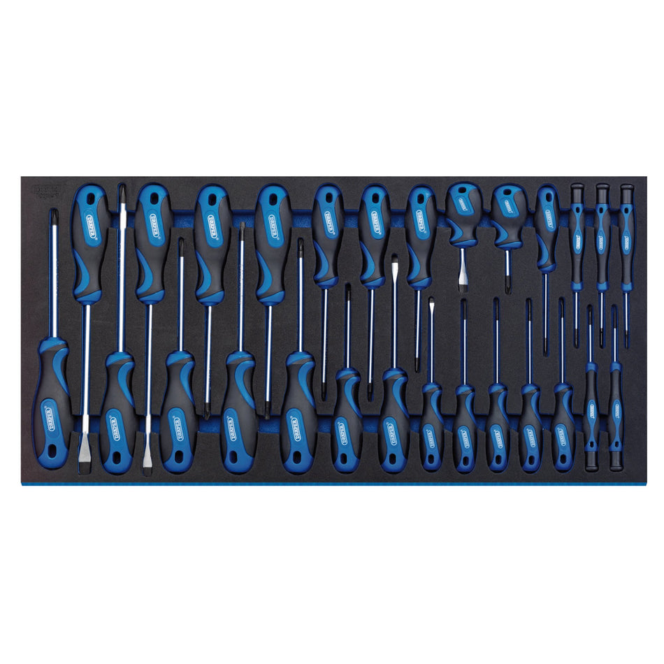 DRAPER Screwdriver Set in Full Drawer EVA Insert Tray (27 Piece): Model No. IT-EVA17