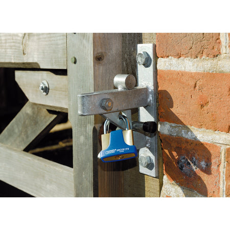DRAPER 42mm Solid Brass Padlock and 2 Keys with Hardened Steel Shackle and Bumper: Model No.8303/42