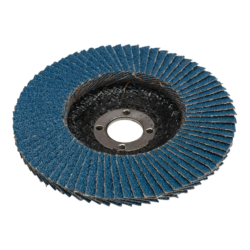 Zirconium Oxide Flap Disc, 100 x 16mm, 60 Grit: Model No. FDZ100
