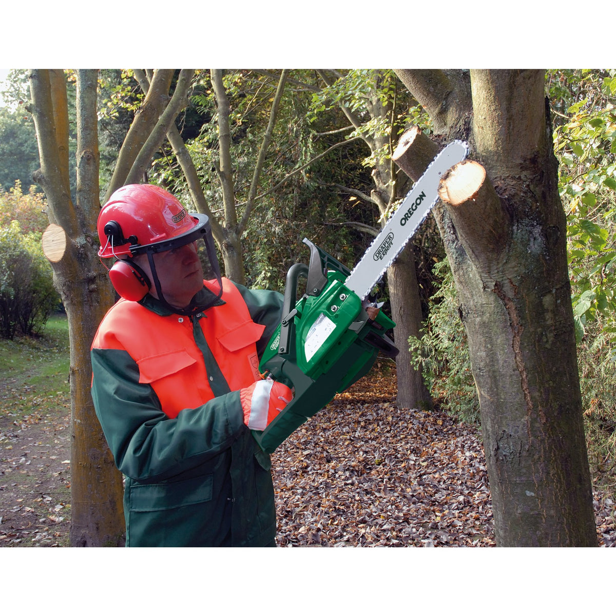 Forestry Helmet Model. No. CSH/TA