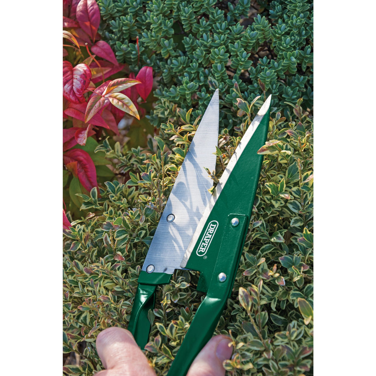 DRAPER Topiary Shears (345mm): Model No. G1811A