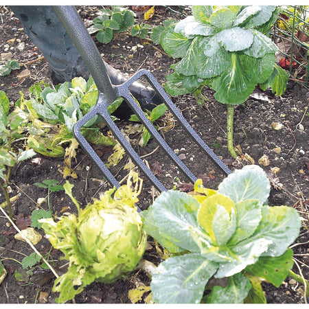 DRAPER Carbon Steel Garden Fork: Model No.GCSDF/I