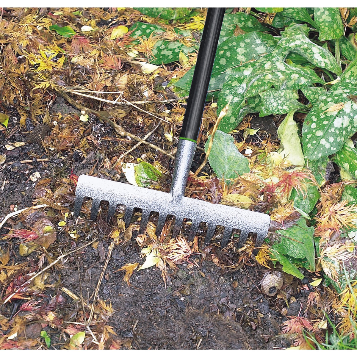 DRAPER Carbon Steel Garden Rake: Model No.GCSGR/I