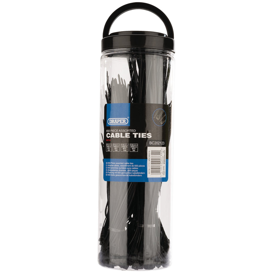 Assorted Nylon Cable Tie Pack (650 Piece): Model No.CTT2
