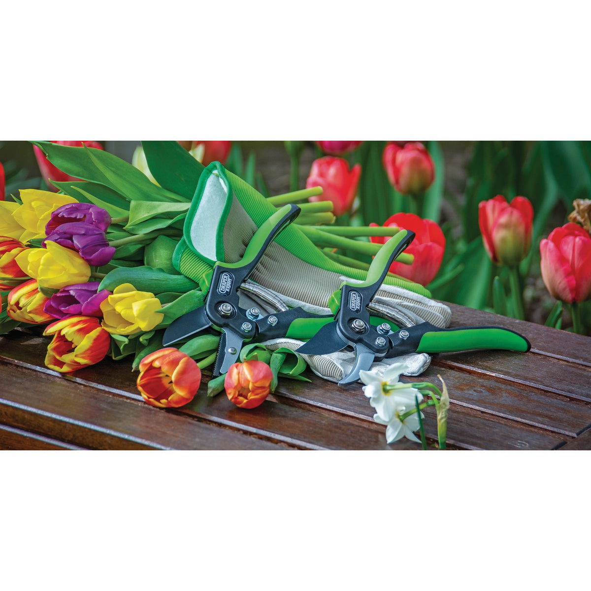 Draper Anvil Pattern Secateur (200mm) Model No. GASE2