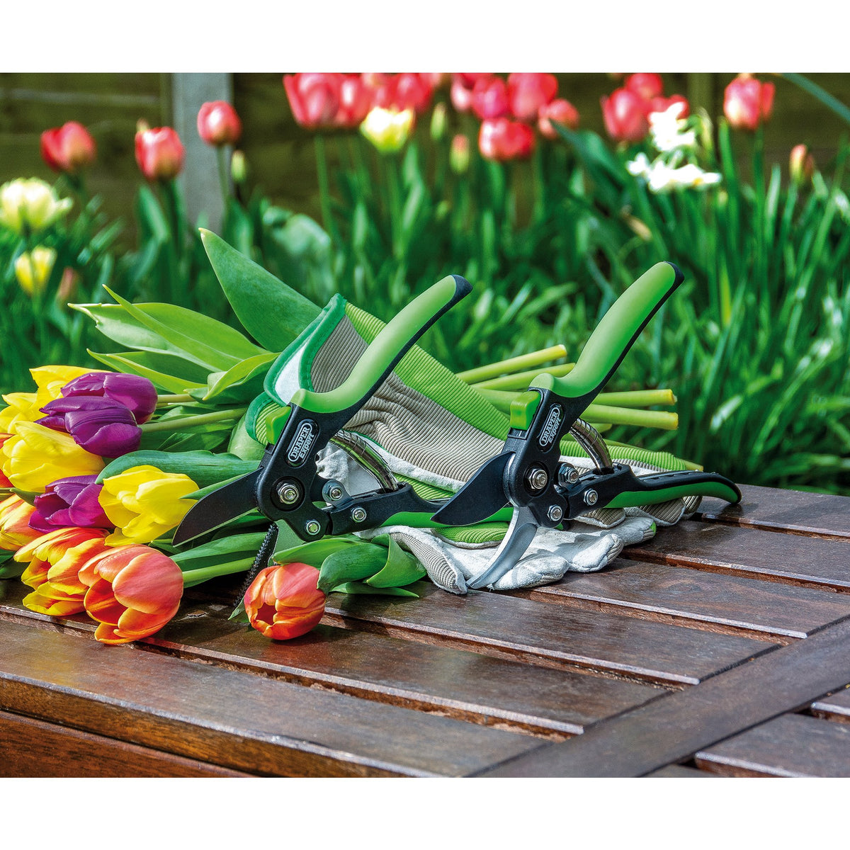 Draper Anvil Pattern Secateur (200mm) Model No. GASE2