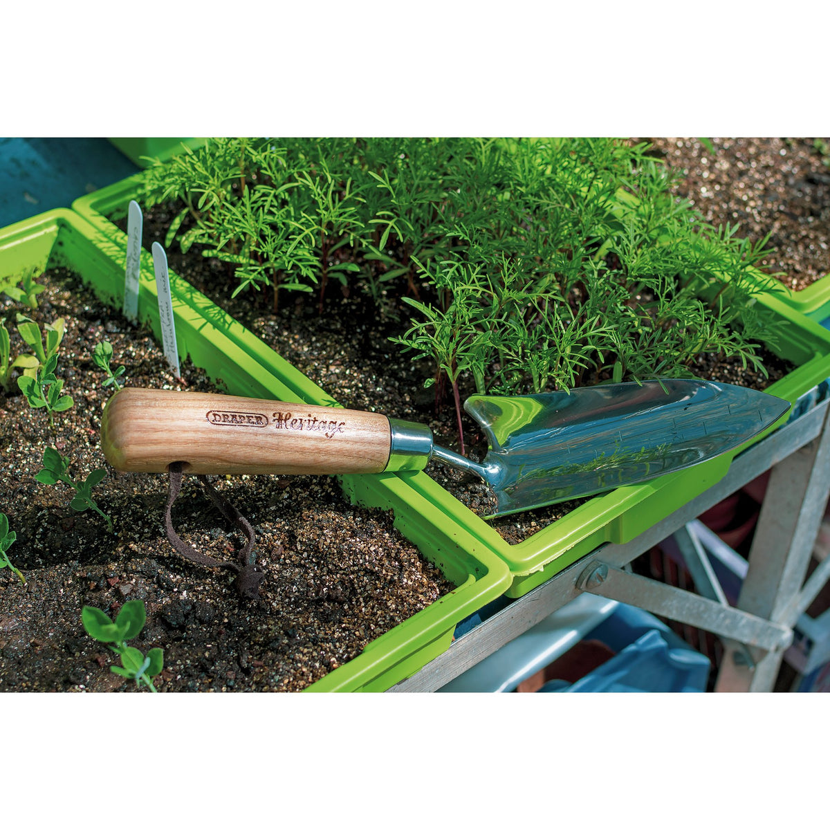 Draper Heritage Stainless Steel Transplanting Trowel with Ash Handle: Model No. DGHTTG/L
