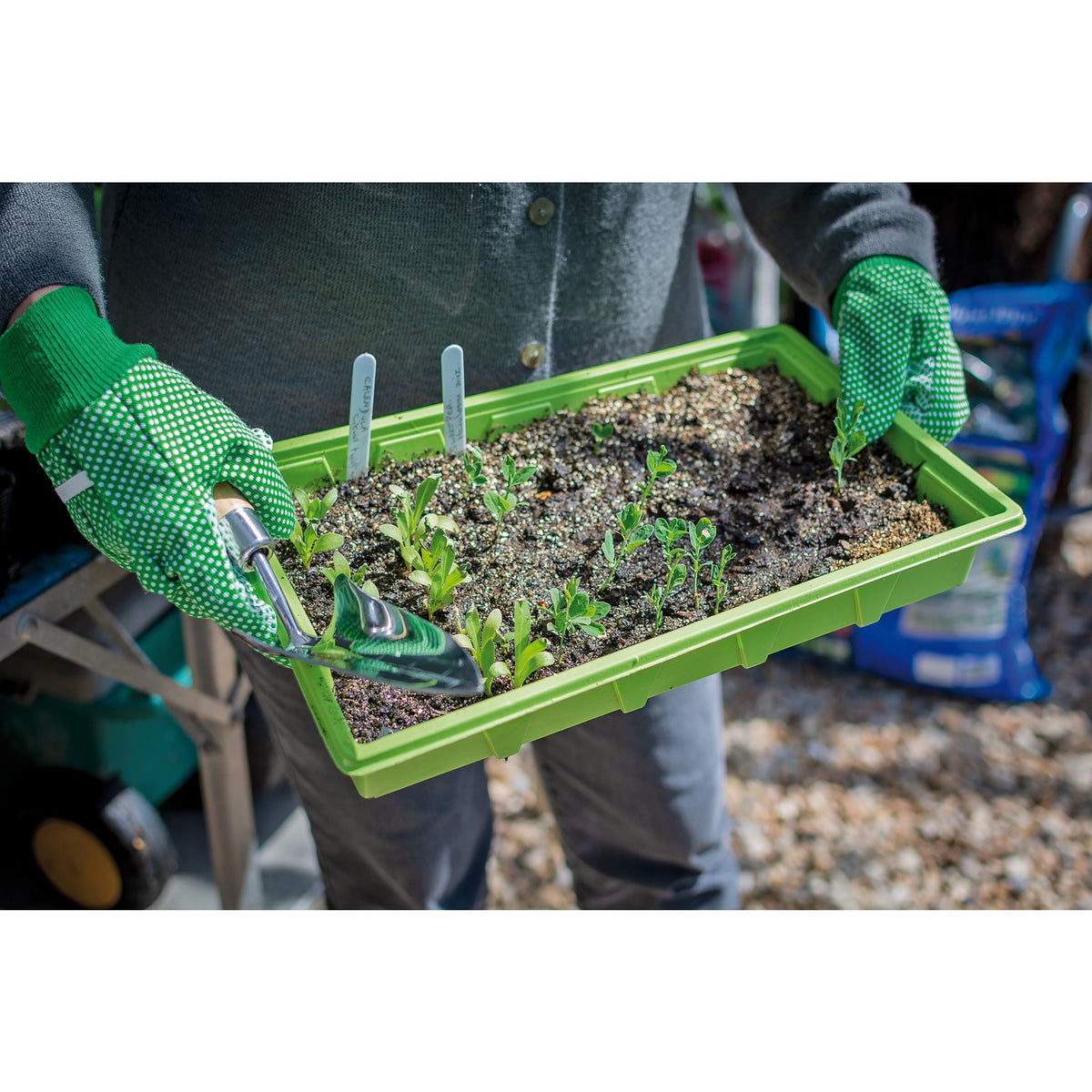 Draper Heritage Stainless Steel Transplanting Trowel with Ash Handle: Model No. DGHTTG/L