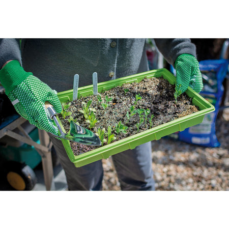 Draper Heritage Stainless Steel Transplanting Trowel with Ash Handle: Model No. DGHTTG/L