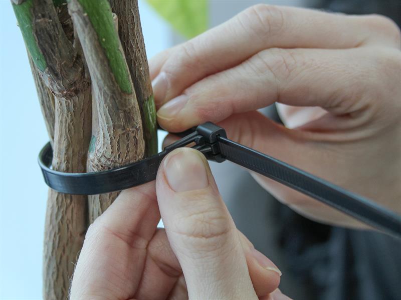 Reusable Cable Tie Black 7.6 x 250mm (Pack 50)