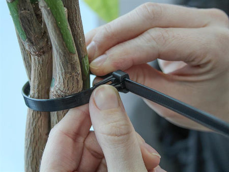Reusable Cable Tie Black 7.6 x 250mm (Pack 50)