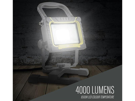 4000 Lumen Site Light 38W 110V