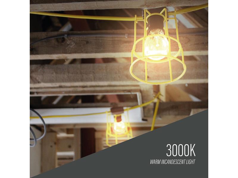 Festoon Lights 22M 10 Bulbs 110V