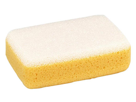 Large Scrub Sponge Hydra